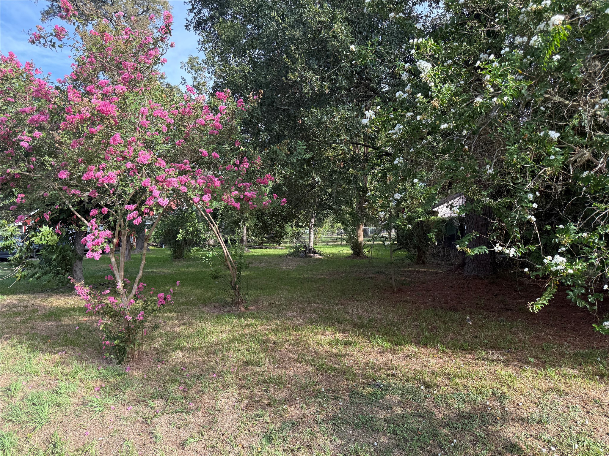 0. Cherry Valley Drive Property Photo 10