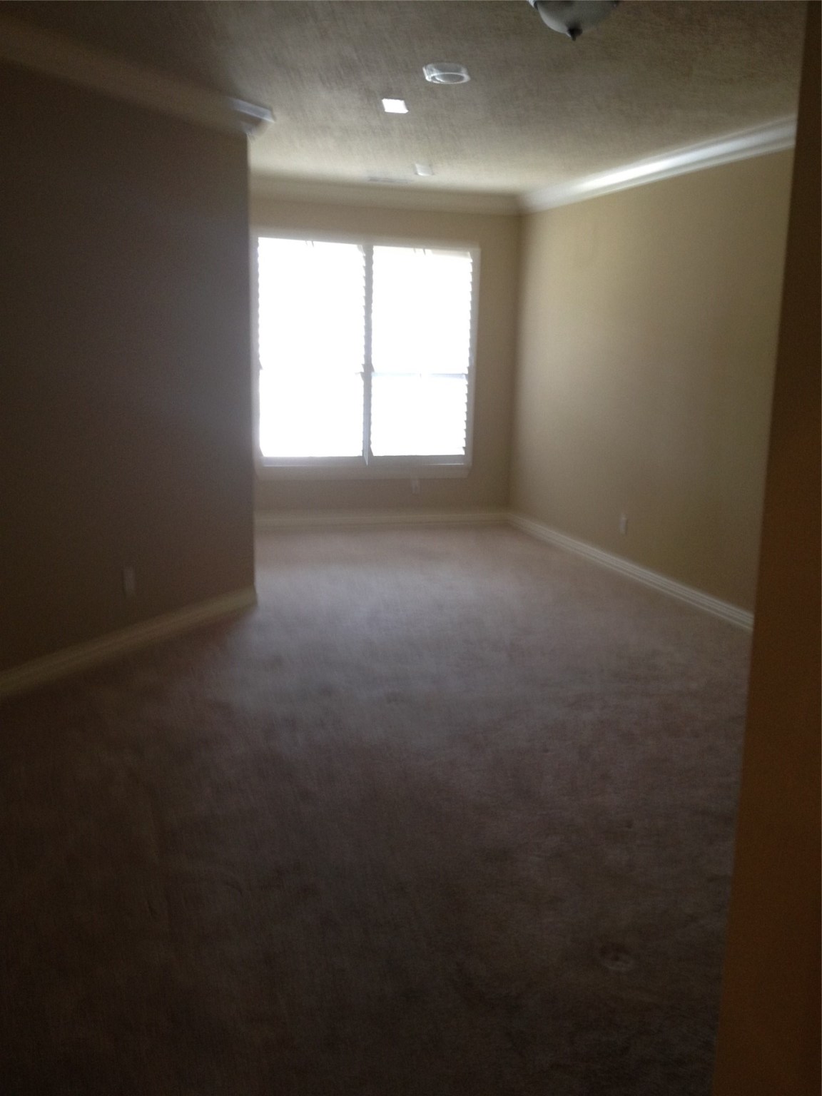 2038 Palm Forest Lane Property Photo 12