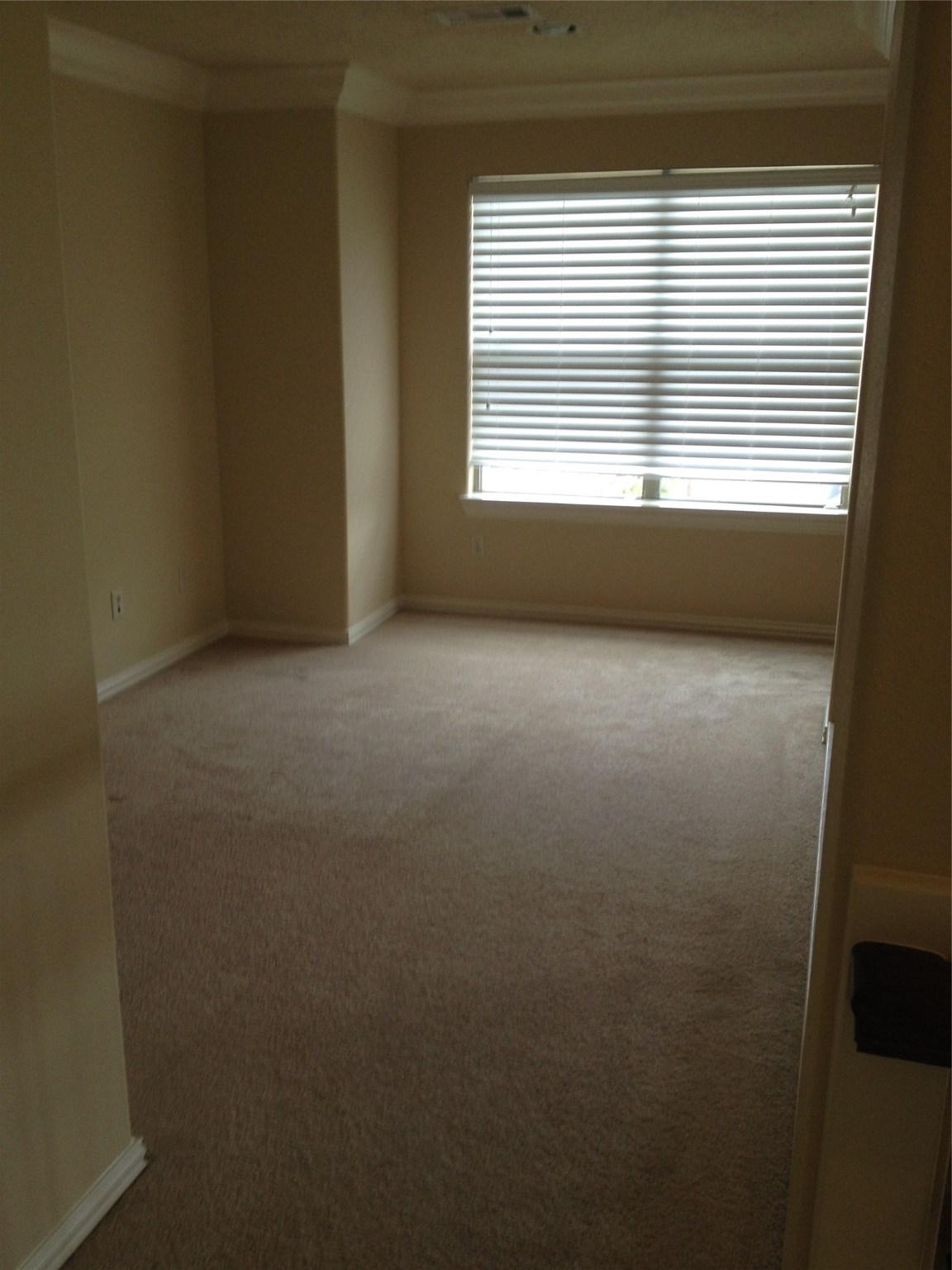 2038 Palm Forest Lane Property Photo 16