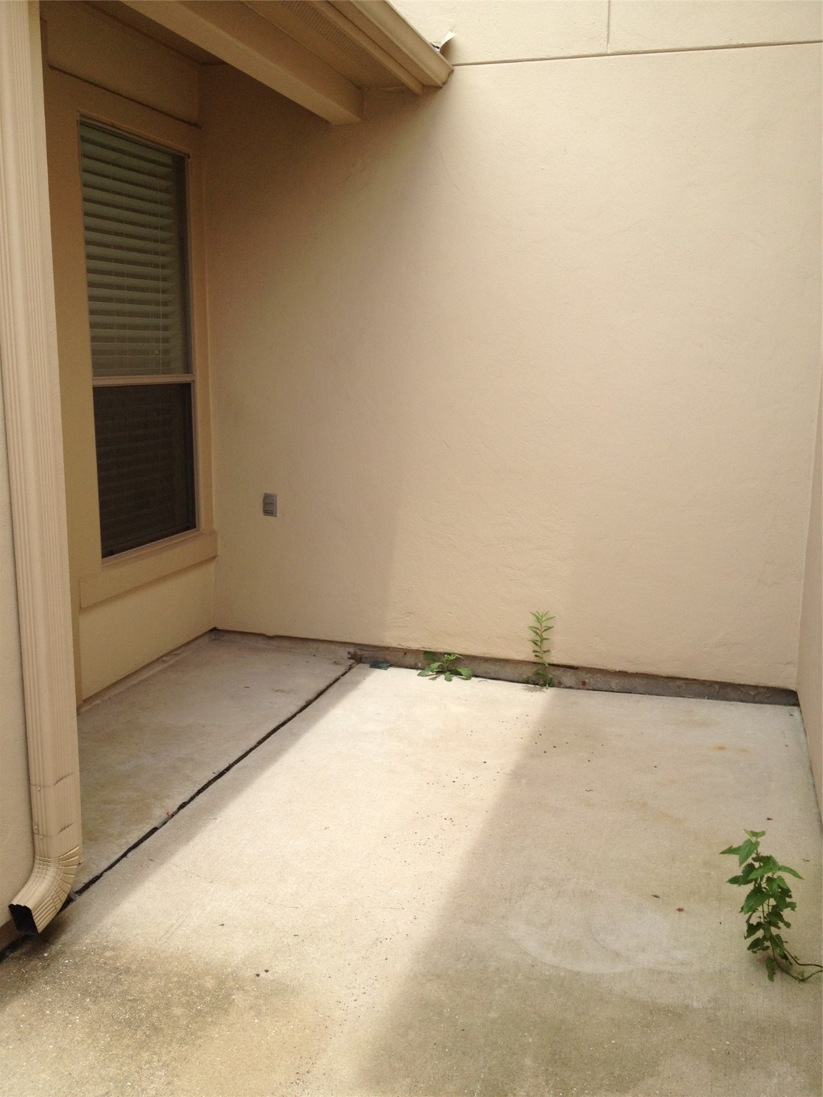 2038 Palm Forest Lane Property Photo 18