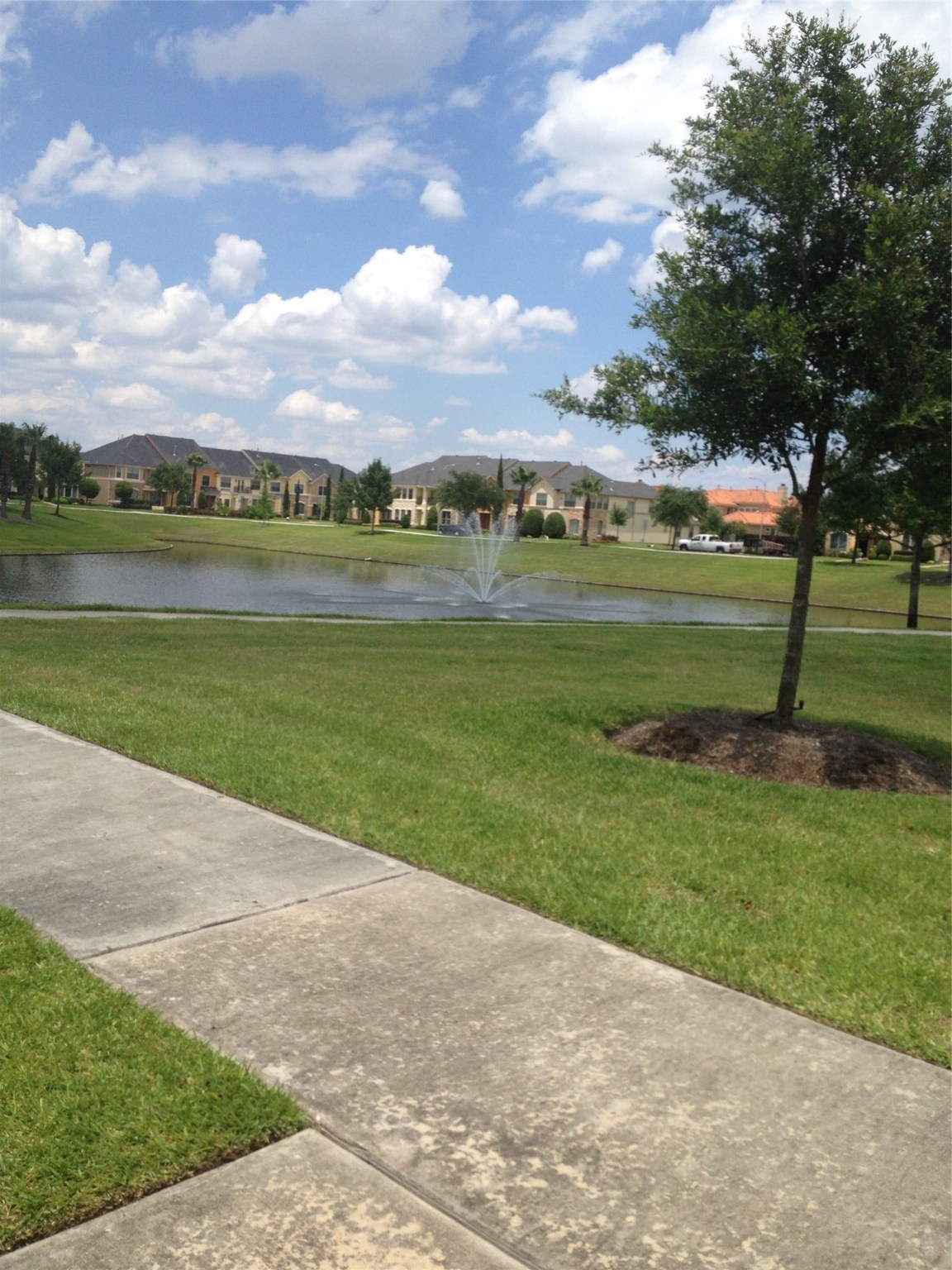 2038 Palm Forest Lane Property Photo 19