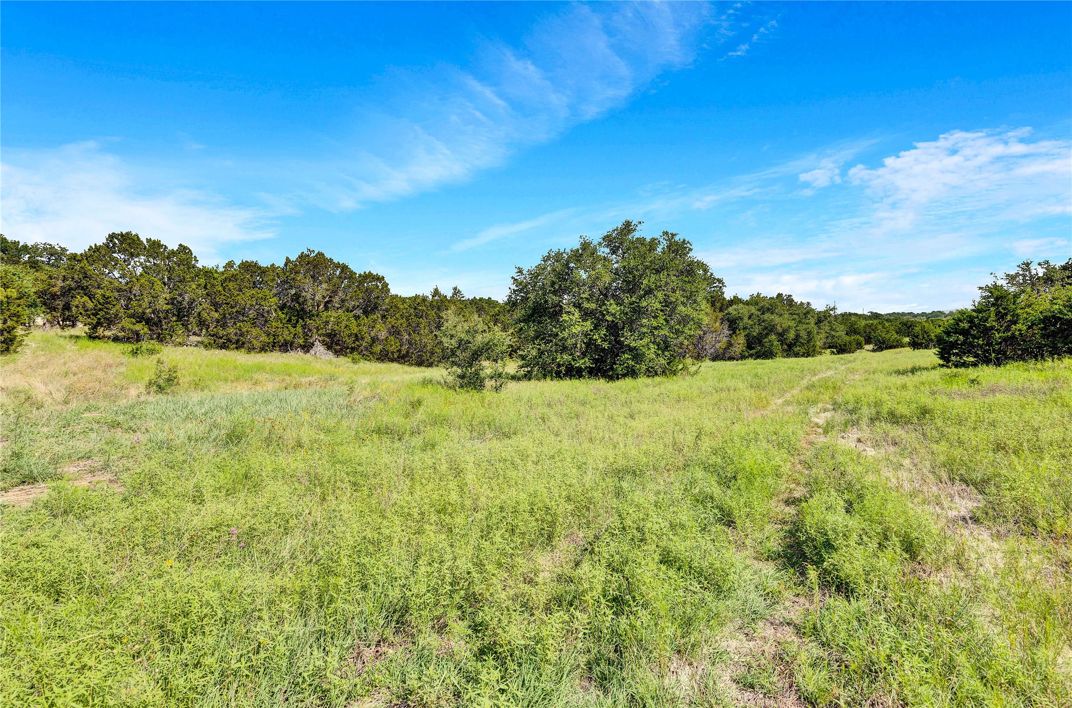 443 Deer Run Court Property Photo 1