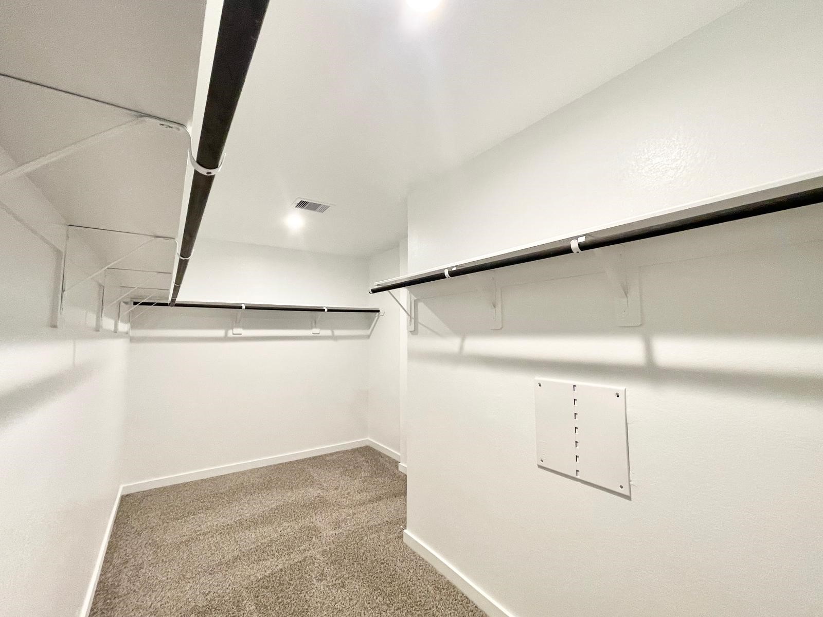 30007 Foxtail Pine Court Property Photo 19