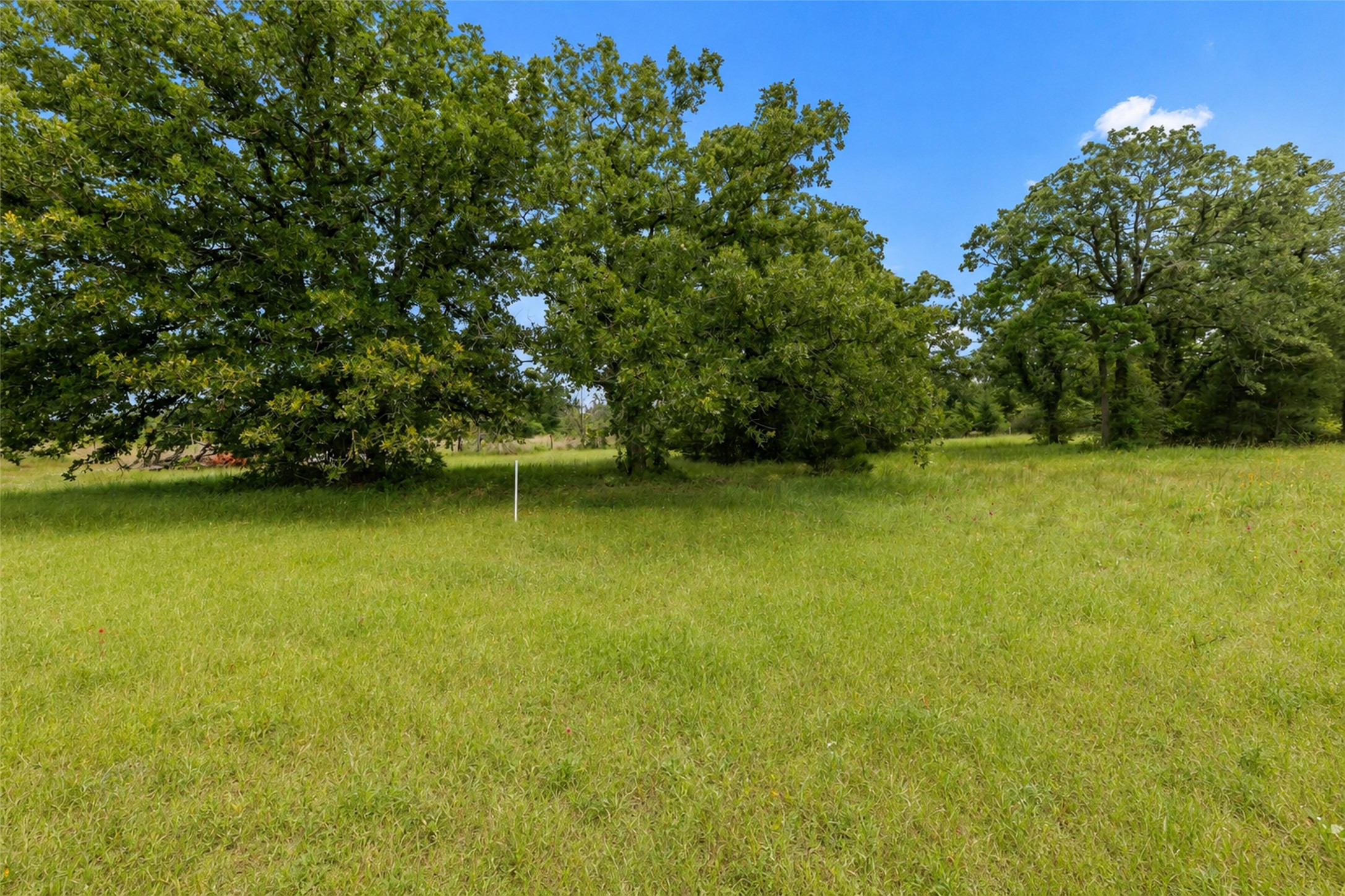 3508 Dick Barnes Loop Property Photo 31