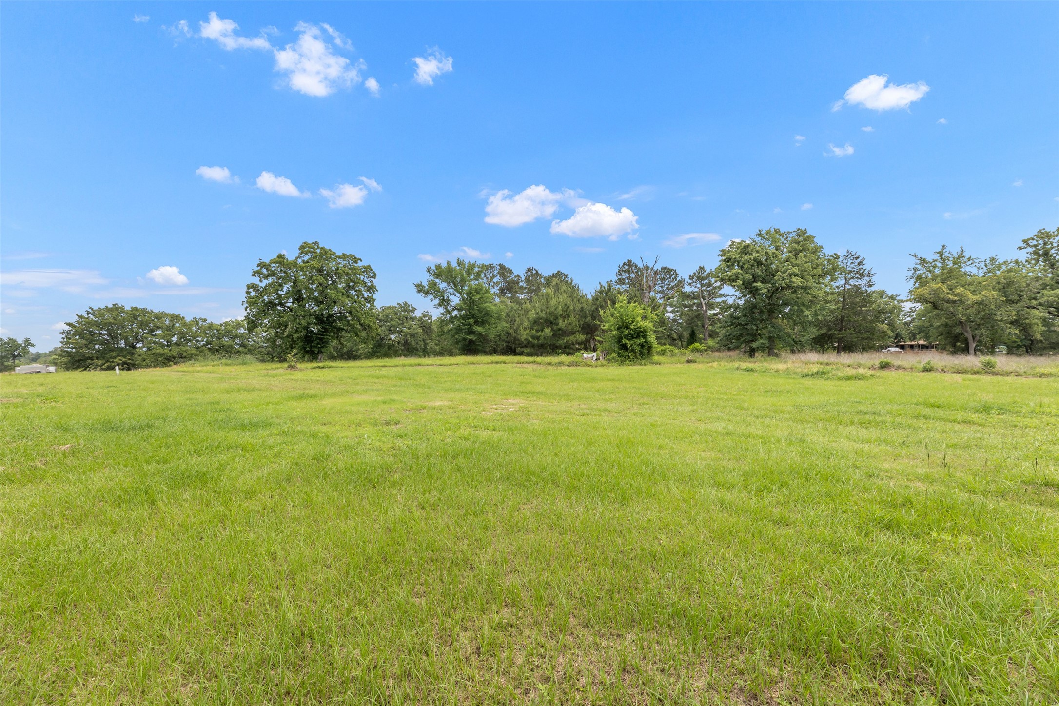 3508 Dick Barnes Loop Property Photo 36