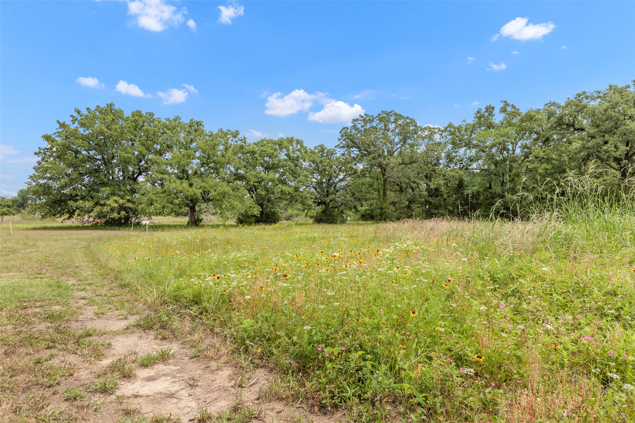 3508 Dick Barnes Loop Property Photo 38