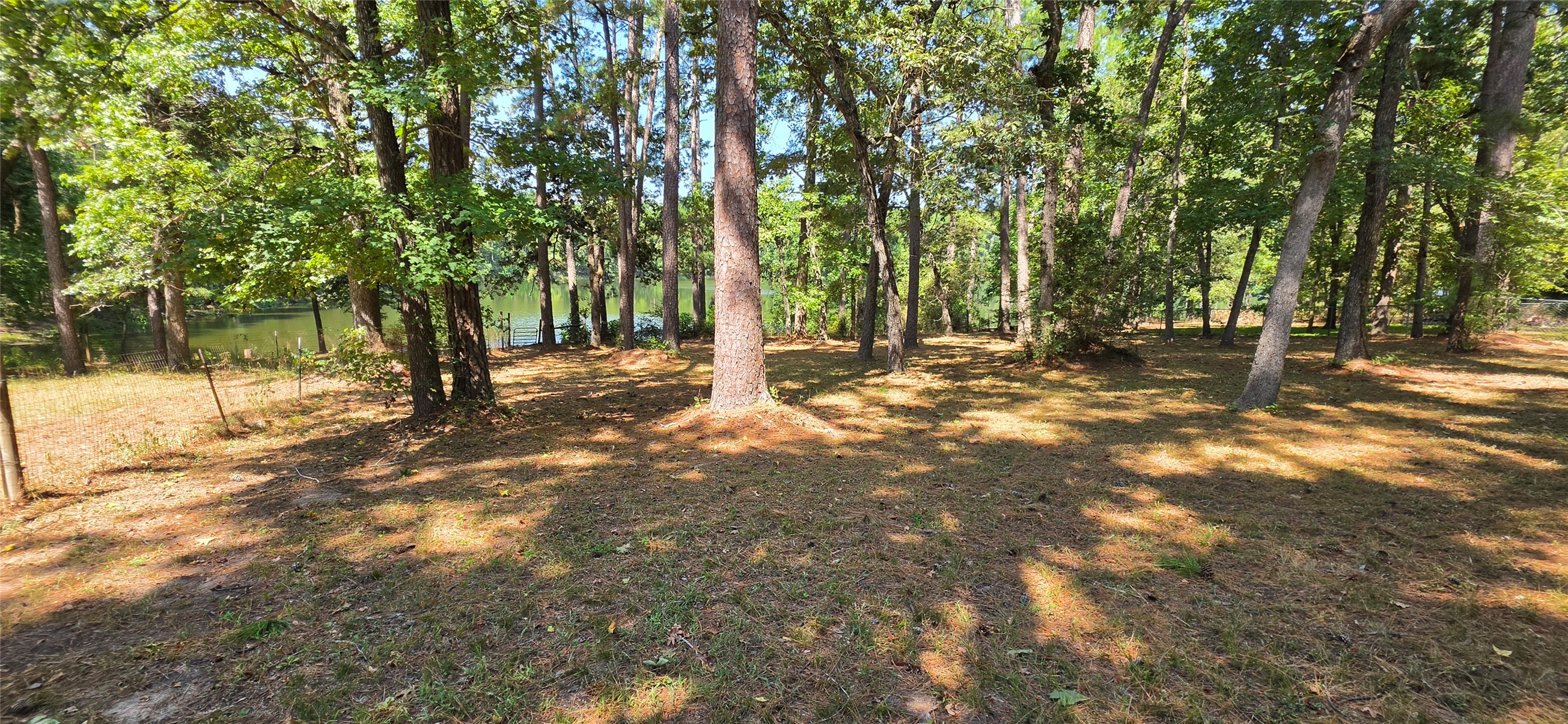 13919 Cecala Drive Property Photo 17