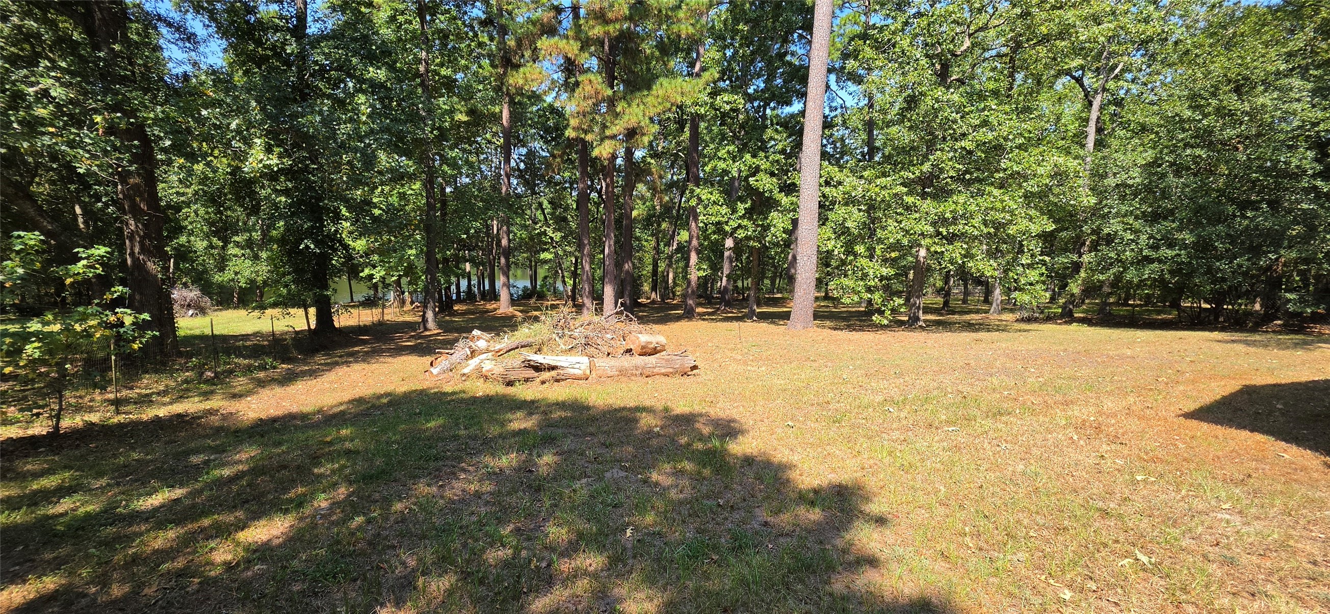 13919 Cecala Drive Property Photo 18