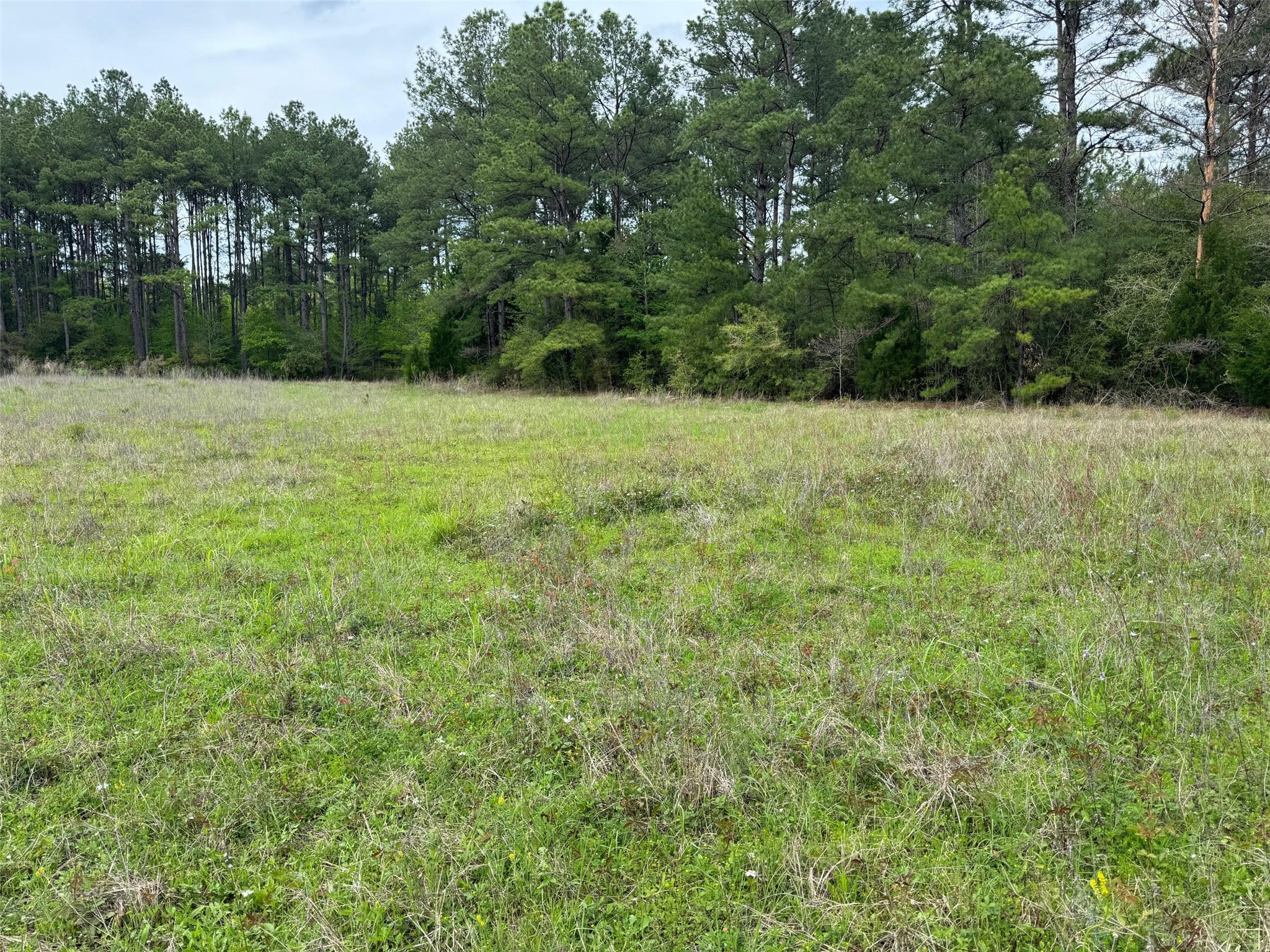 10586 Holland Road Property Photo