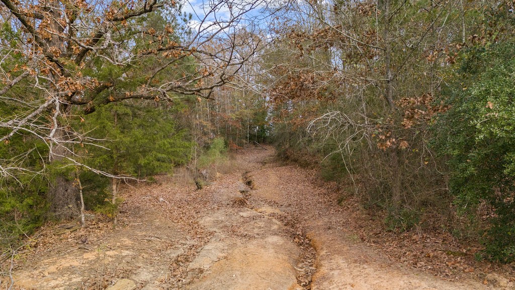 1102 Cr 4111 Property Photo 8