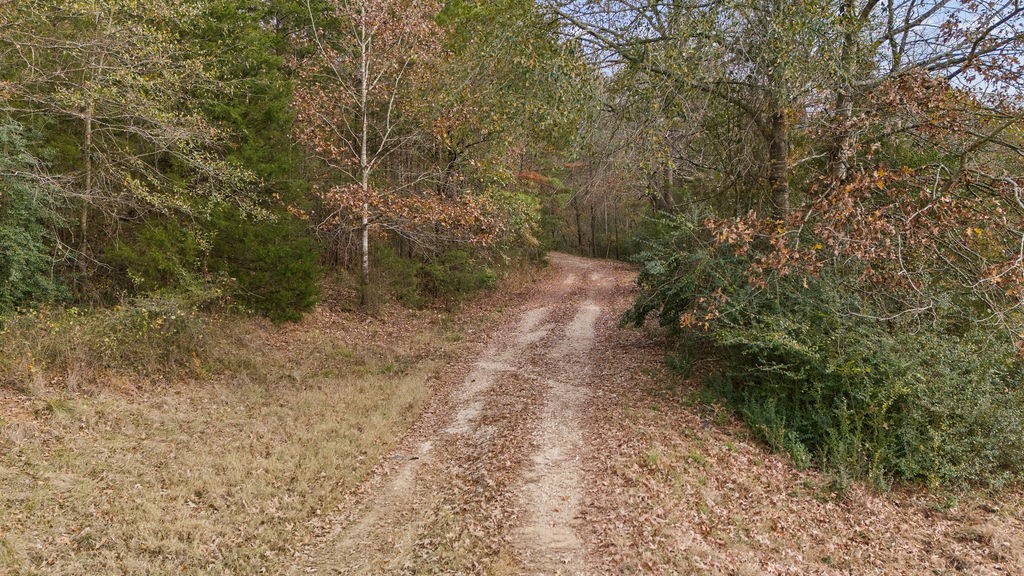 1102 Cr 4111 Property Photo 29