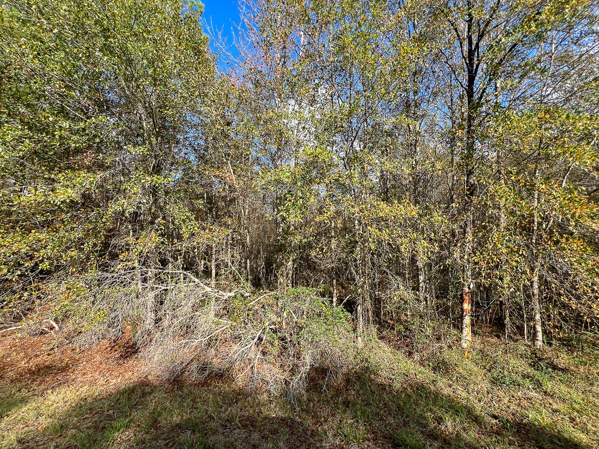 0 Fm 2460 Property Photo 3