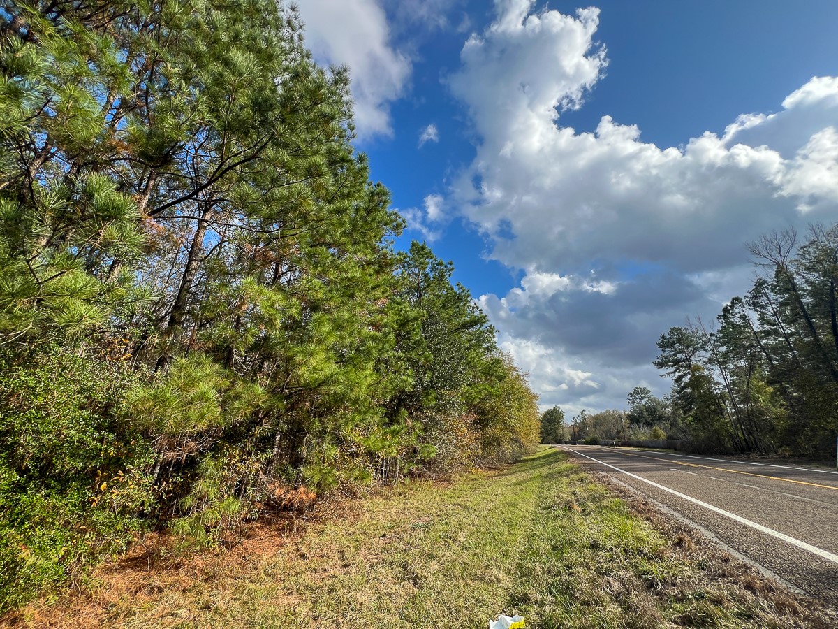 0 Fm 2460 Property Photo 4