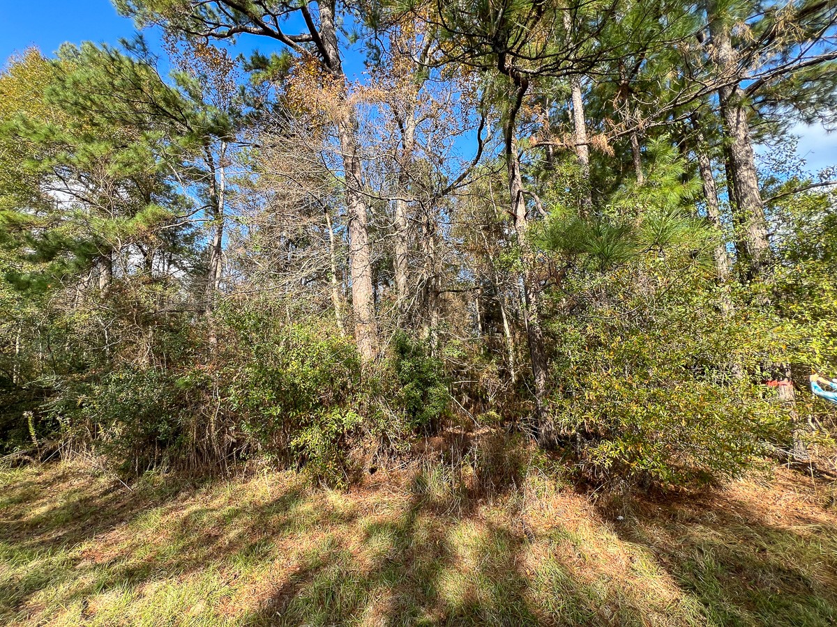 0 Fm 2460 Property Photo 6