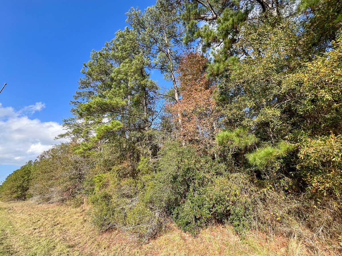 0 Fm 2460 Property Photo 7