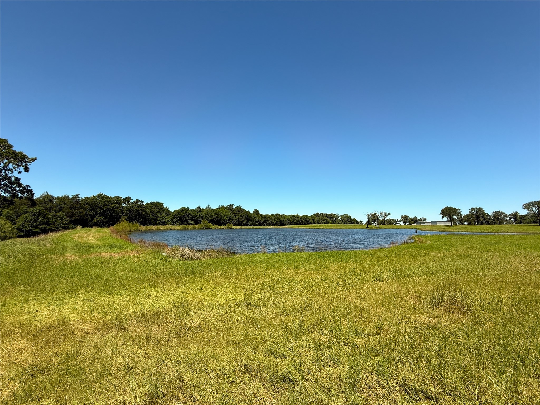 Tbd 35 Acres Fm 2547 Property Photo 1