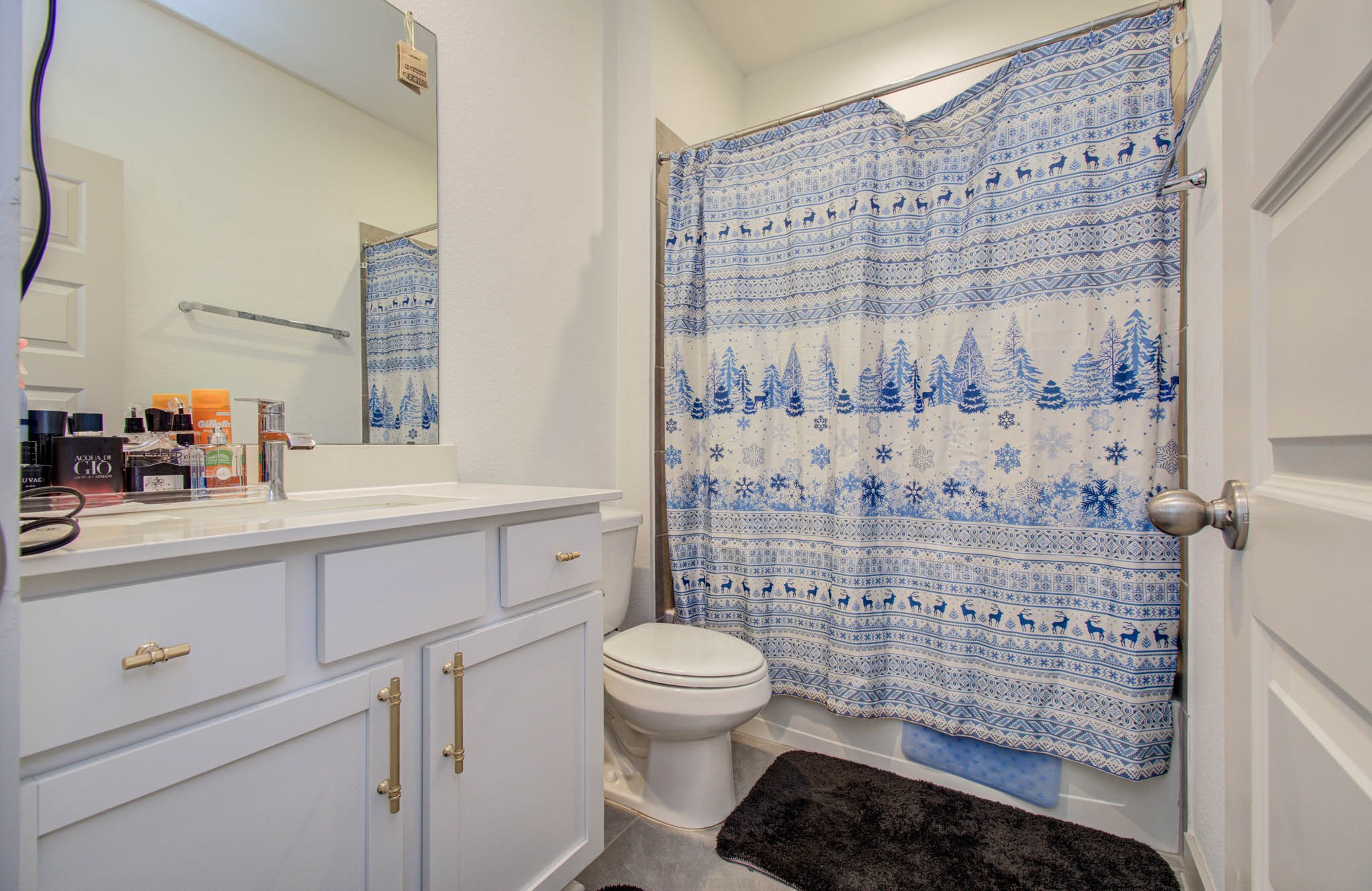 3706 Jayci Lake Trace Property Photo 19