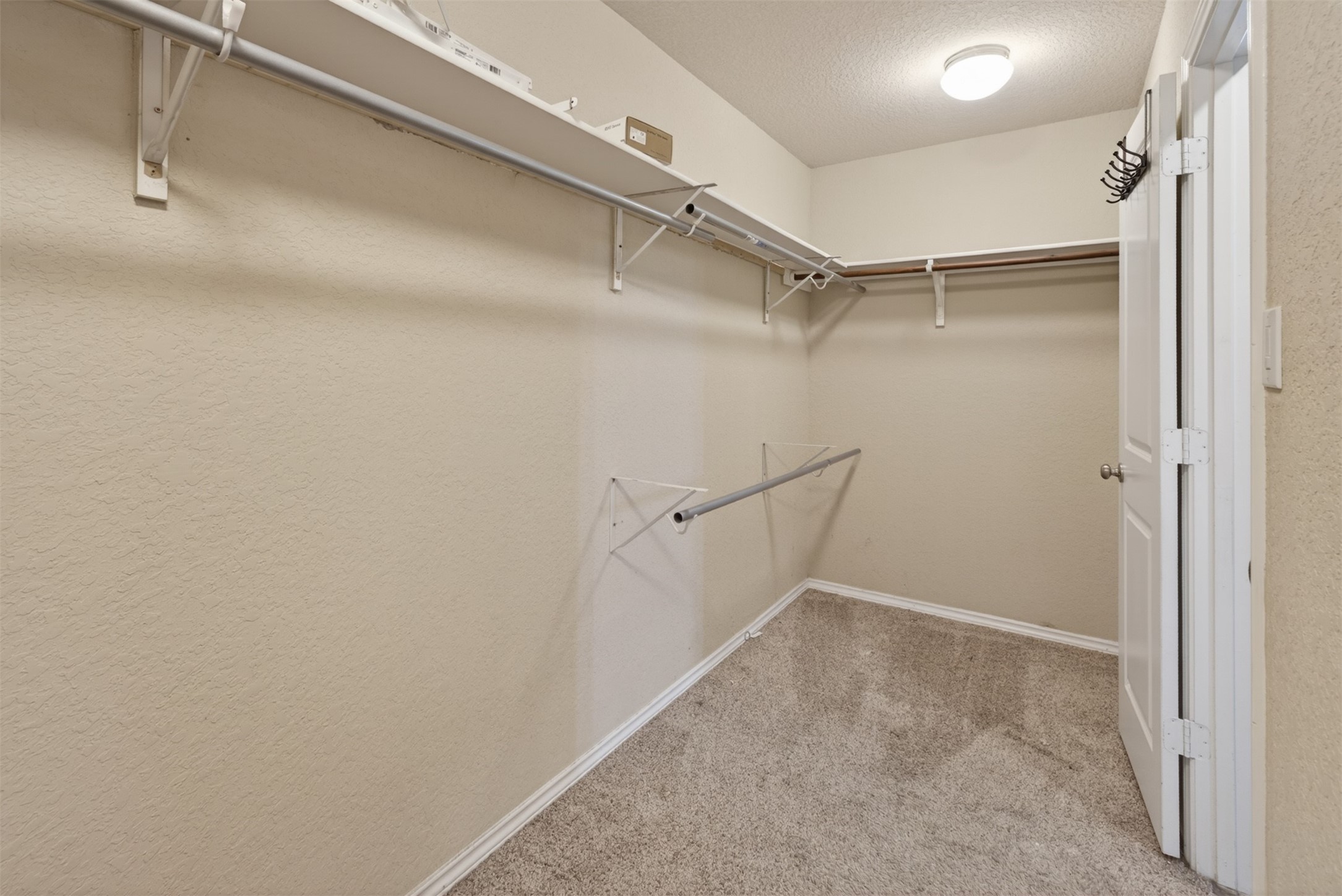 428 Agave Flats Drive Property Photo 17