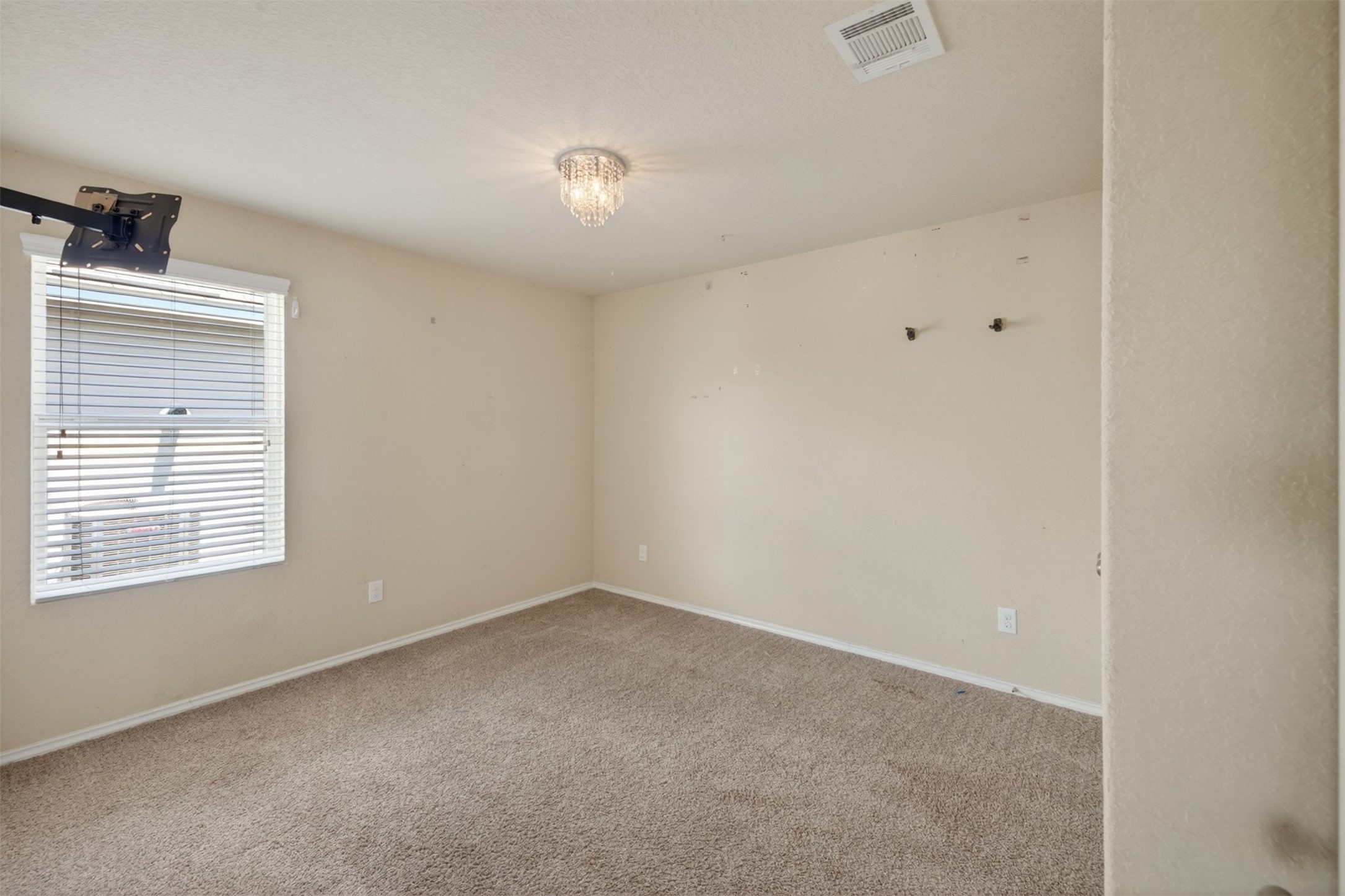 428 Agave Flats Drive Property Photo 18