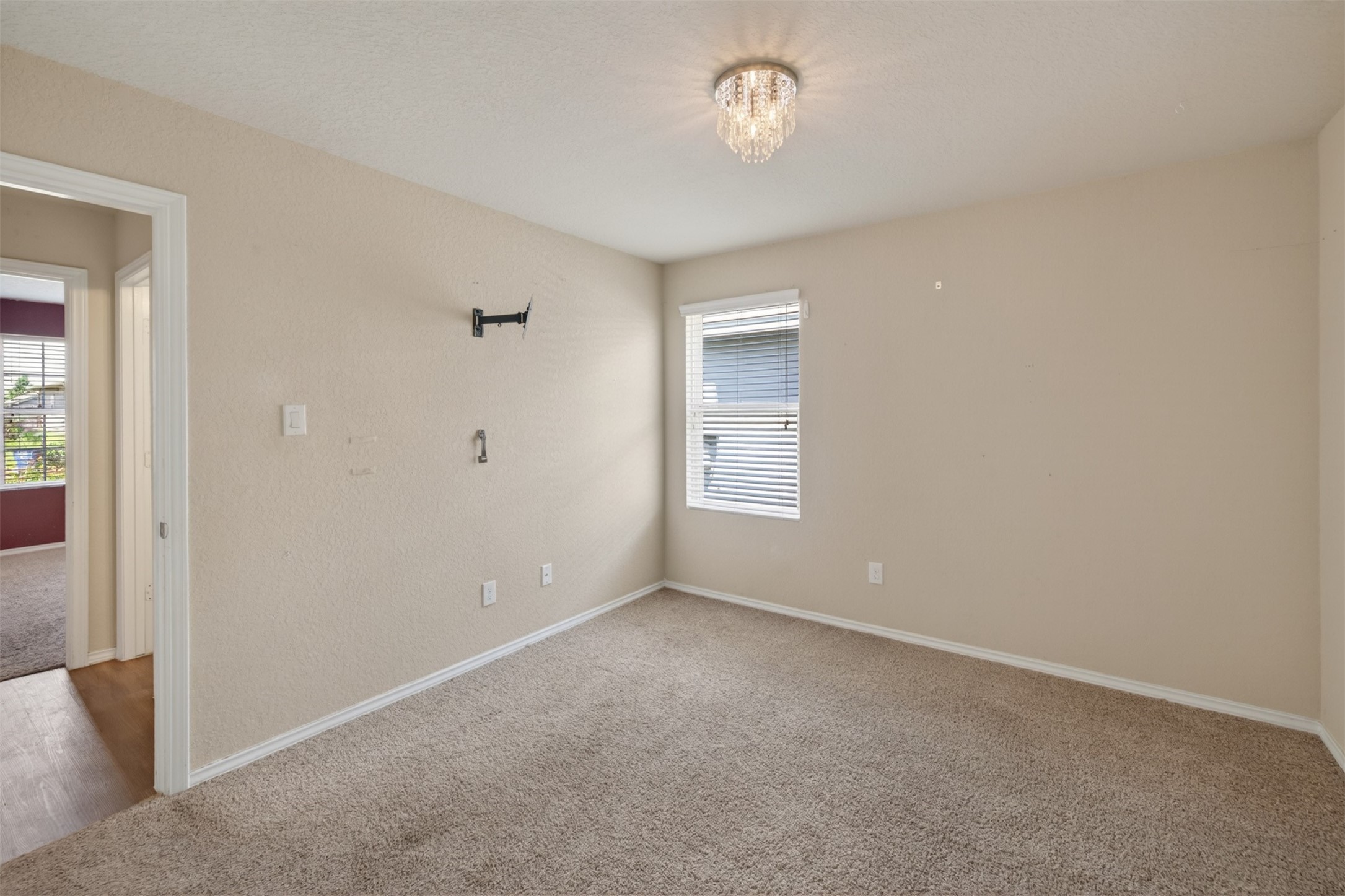 428 Agave Flats Drive Property Photo 19