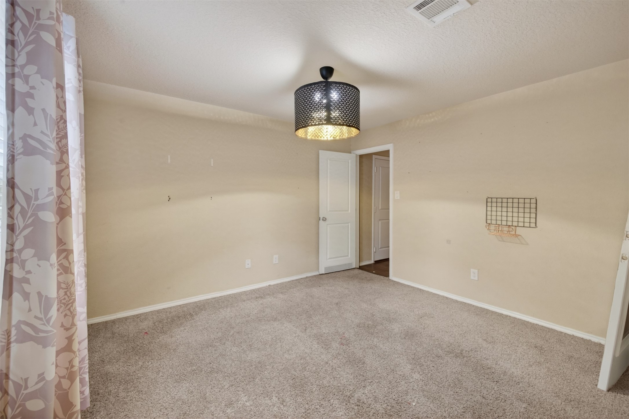 428 Agave Flats Drive Property Photo 23