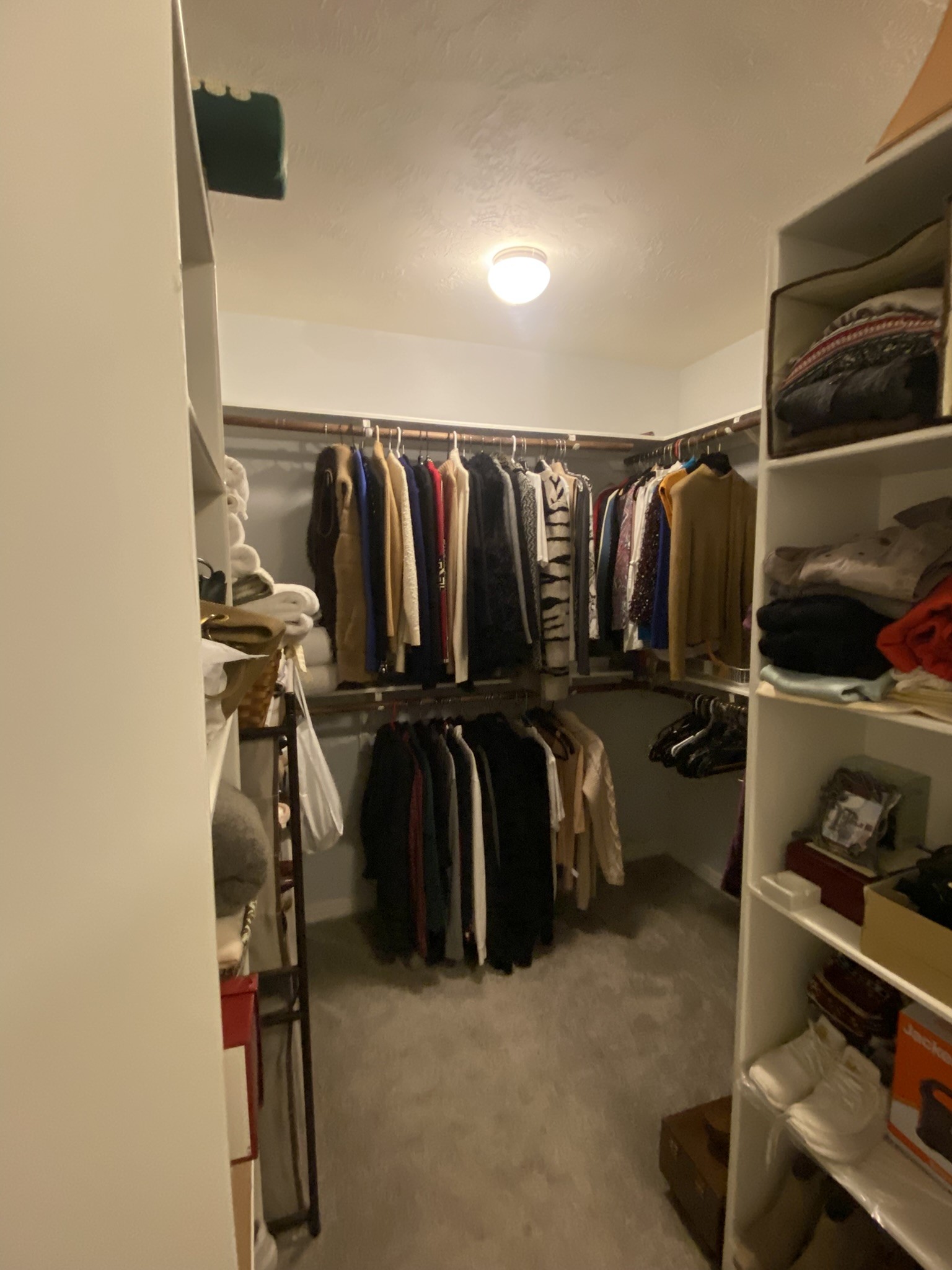 2931 Bering Drive Property Photo 27