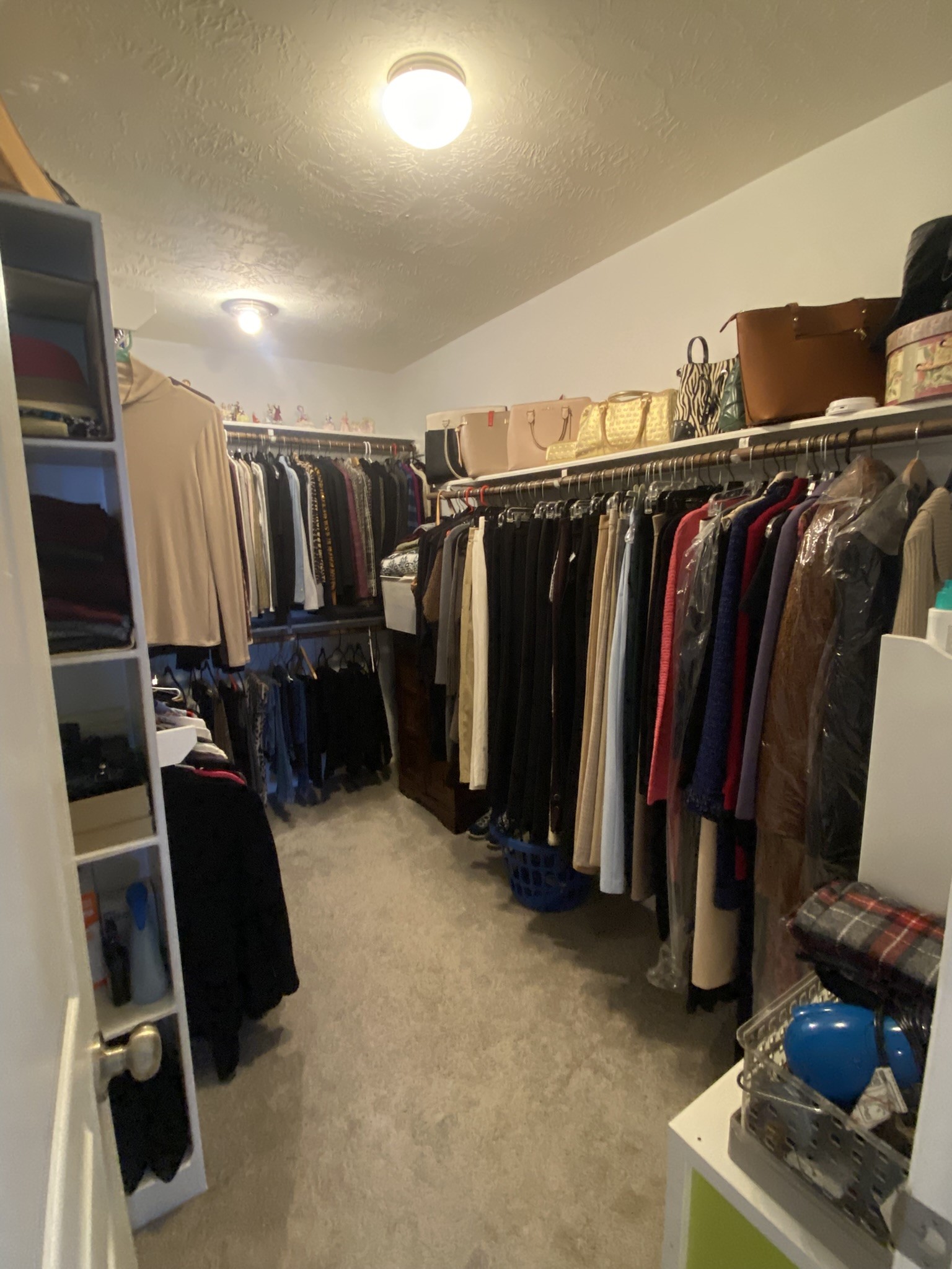 2931 Bering Drive Property Photo 29