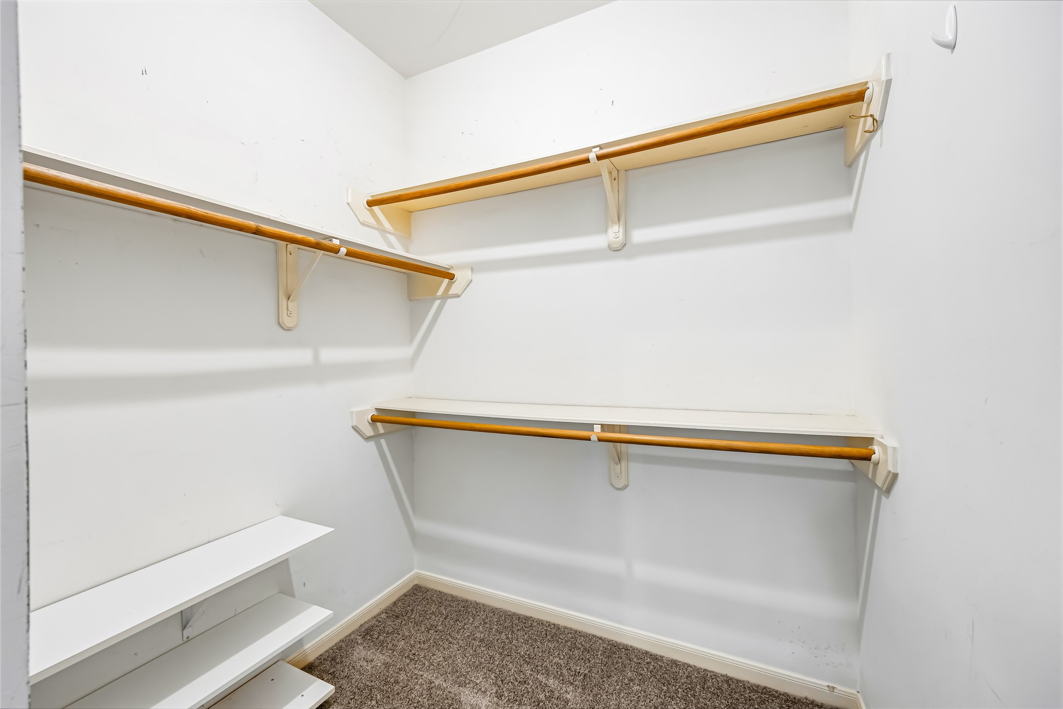 8030 Downington Court Property Photo 24