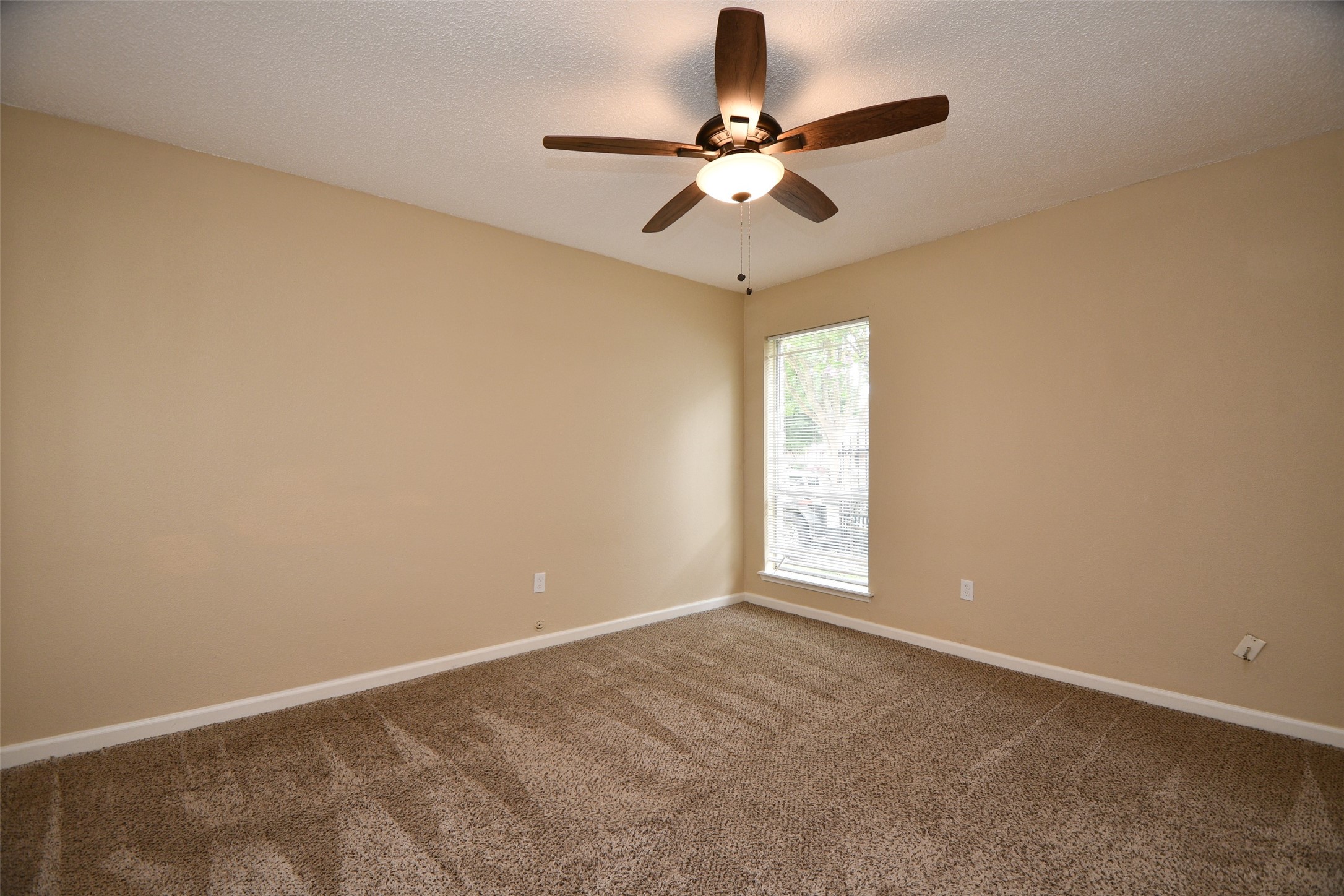 306 Priscilla Court Property Photo 6