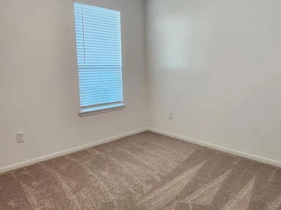 23415 Cranberry Grader Lane Property Photo 6