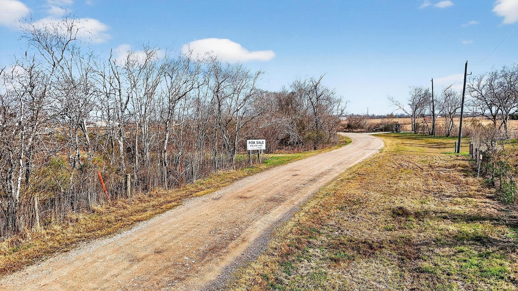 Tbd County Road 49 Property Photo 14