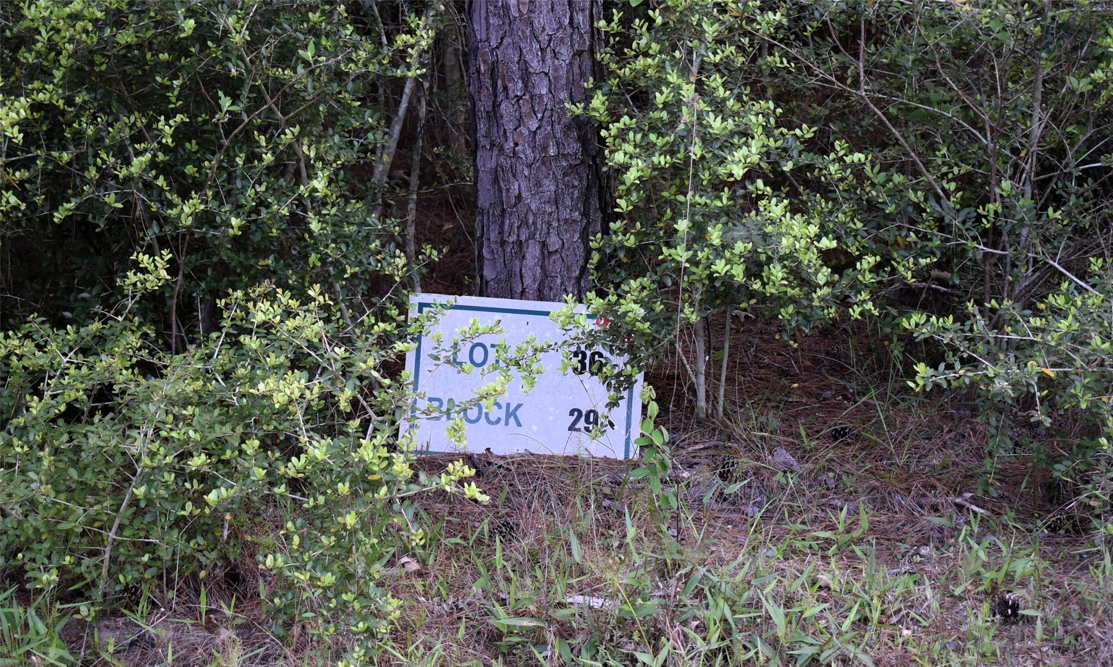 Tbd Cooperleaf Road Property Photo 9