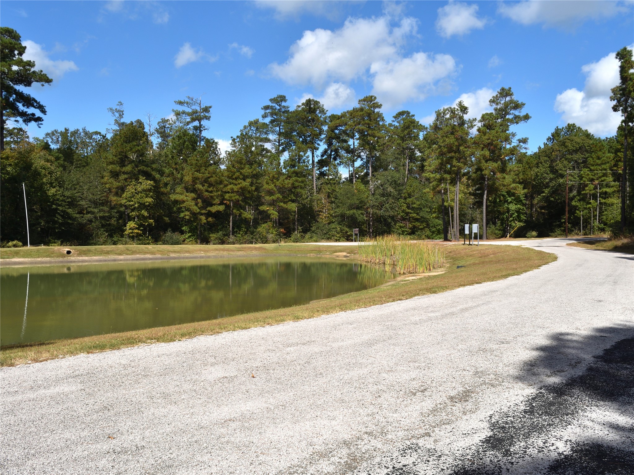 Tbd Cooperleaf Road Property Photo 14