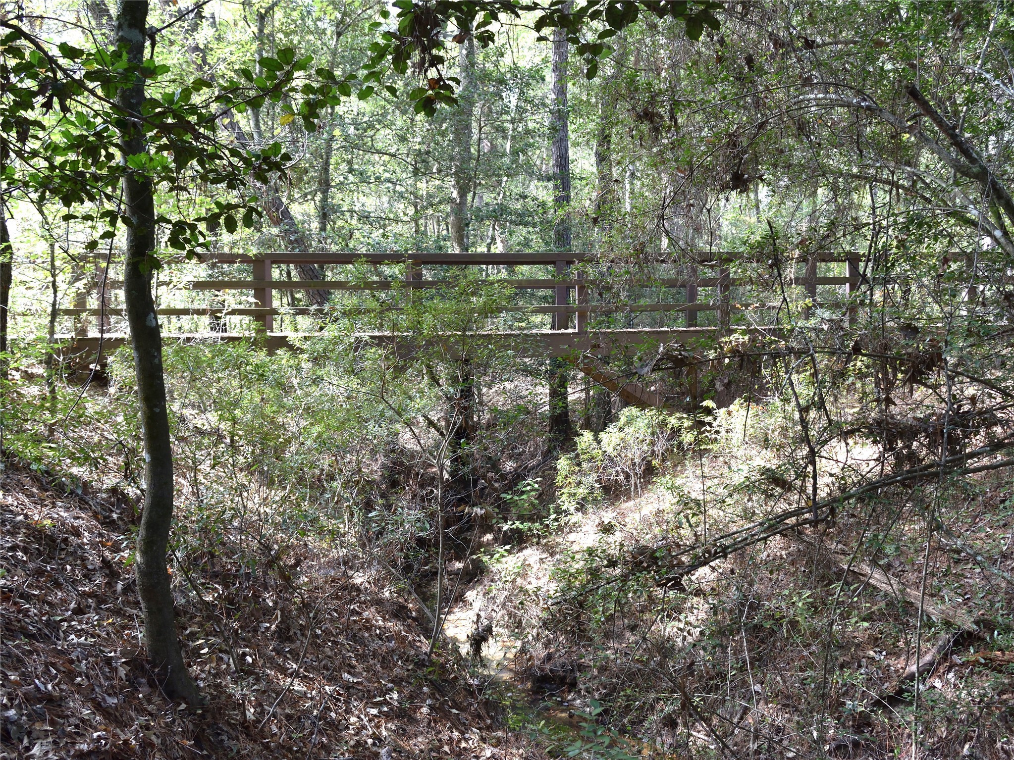 Tbd Cooperleaf Road Property Photo 23