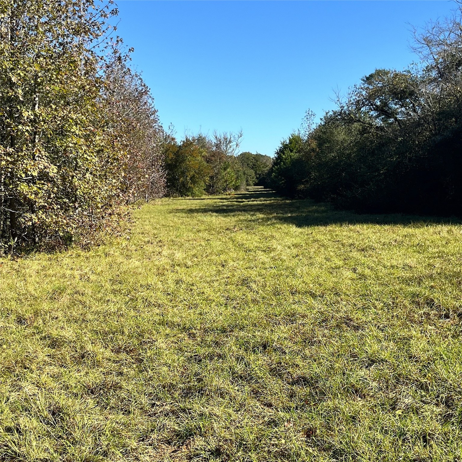 12124 County Road 122 Property Photo 2