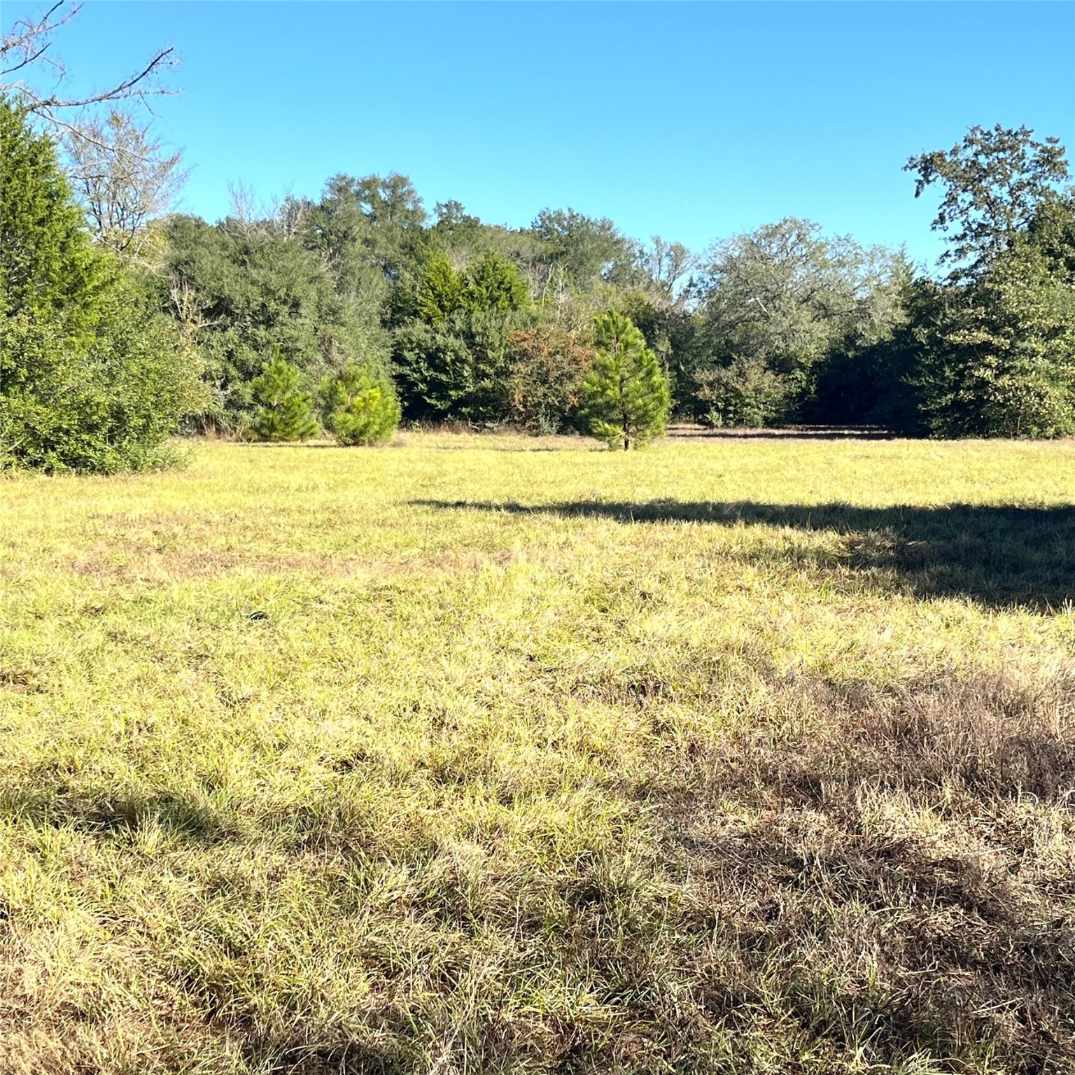 12124 County Road 122 Property Photo 3