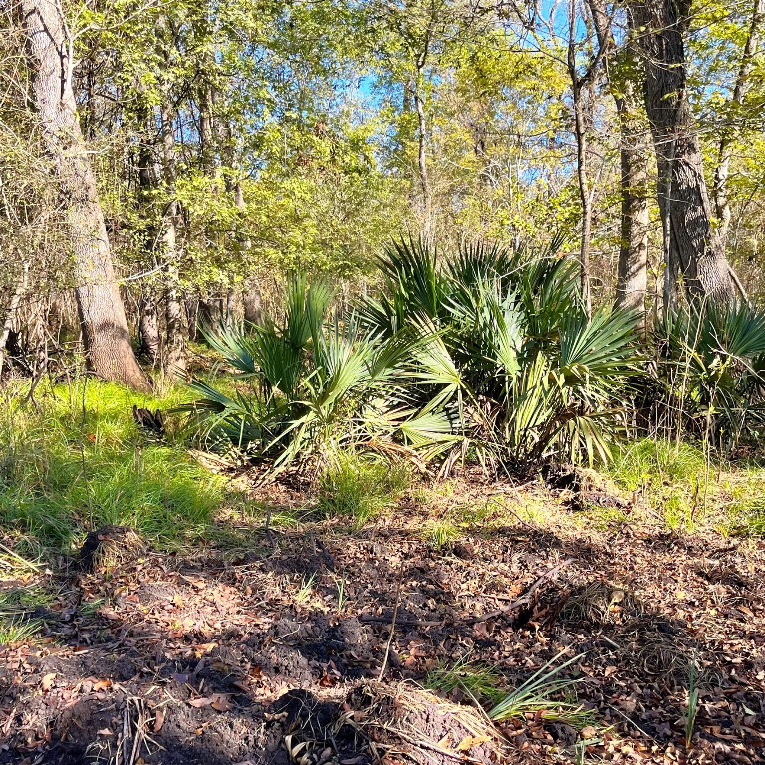 12124 County Road 122 Property Photo 16