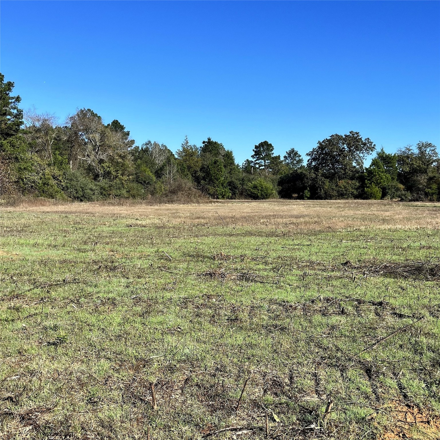 12124 County Road 122 Property Photo 17
