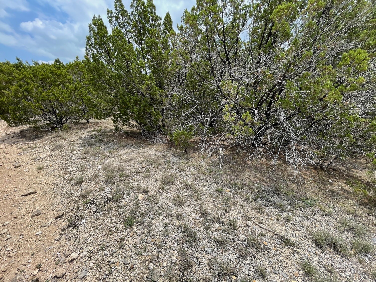 0 Dillon Drive Property Photo 1
