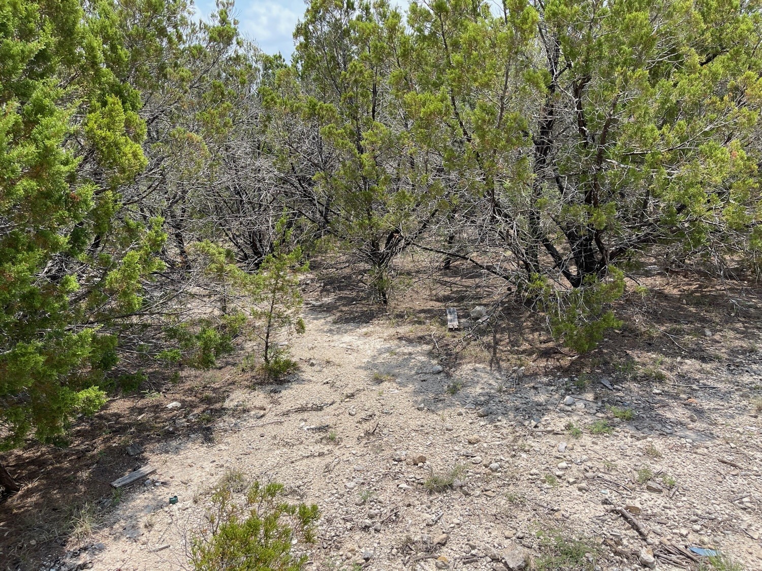 0 Dillon Drive Property Photo 2