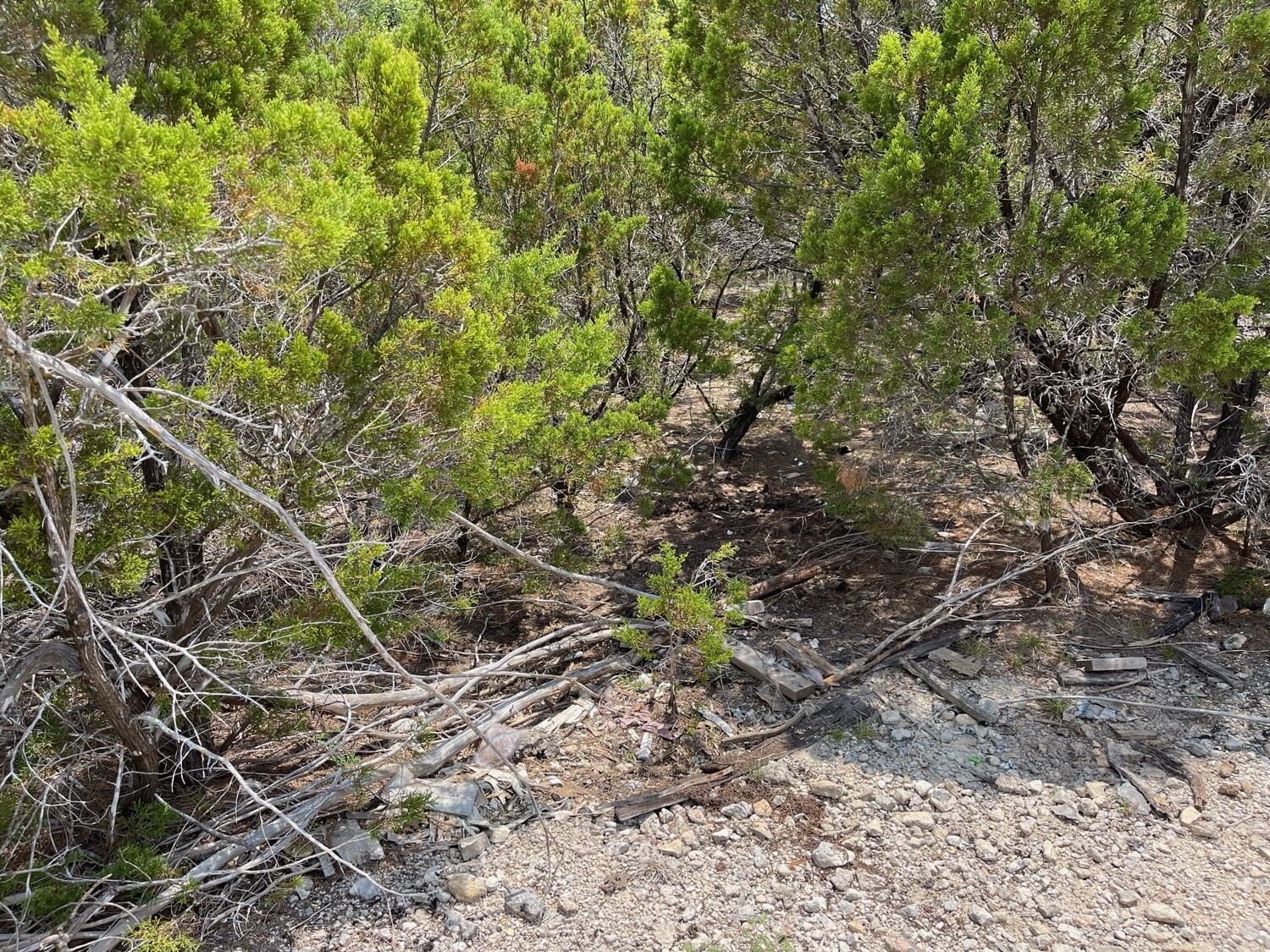0 Dillon Drive Property Photo 3
