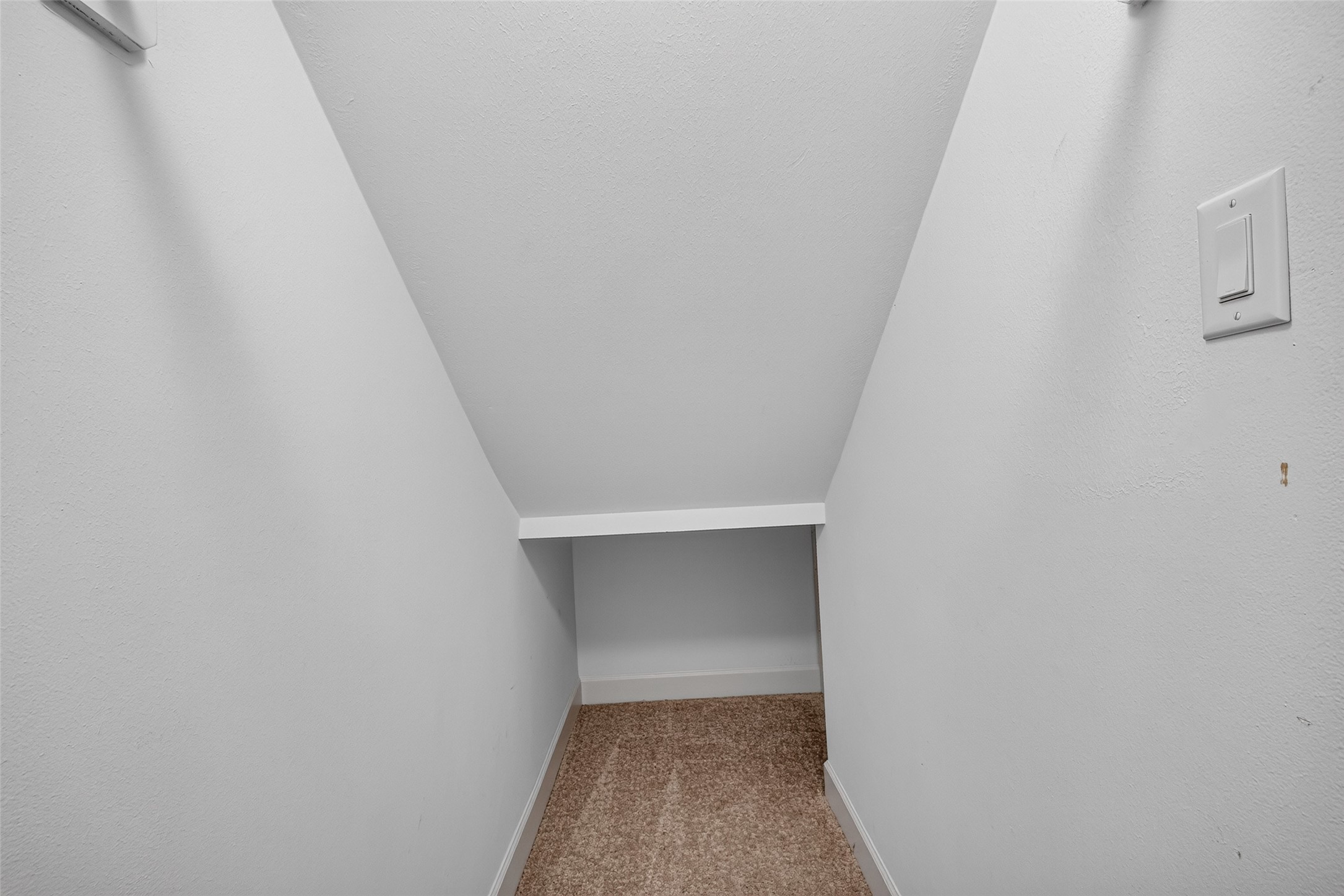 11509 Main Ash Drive Property Photo 35