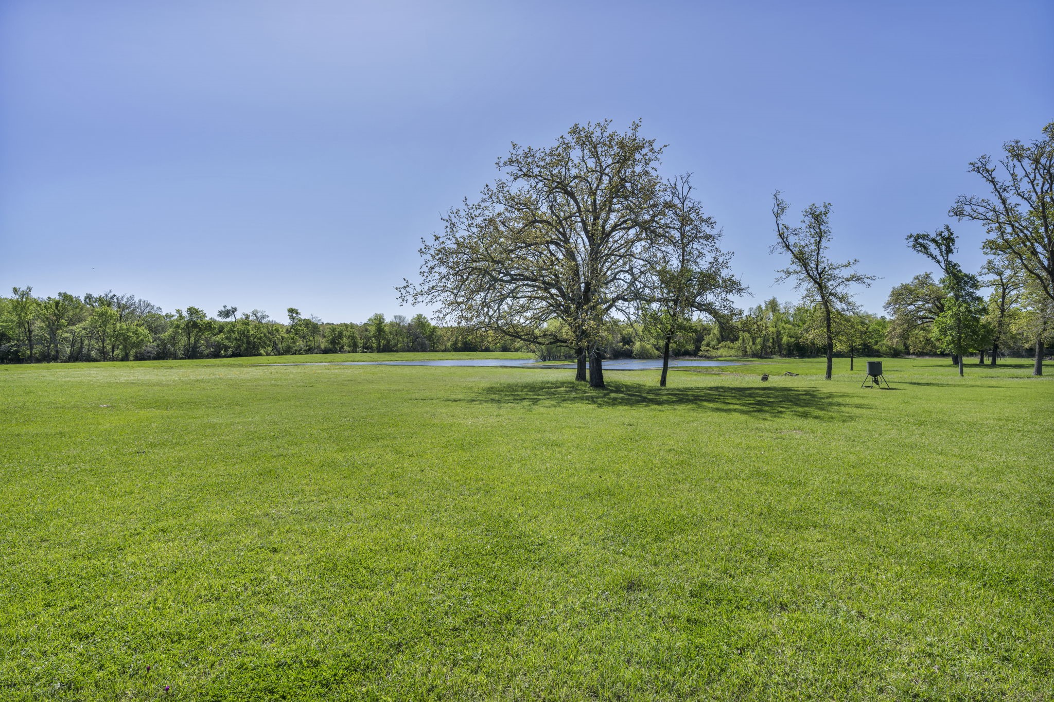 1692 E Highway 79 Property Photo 23