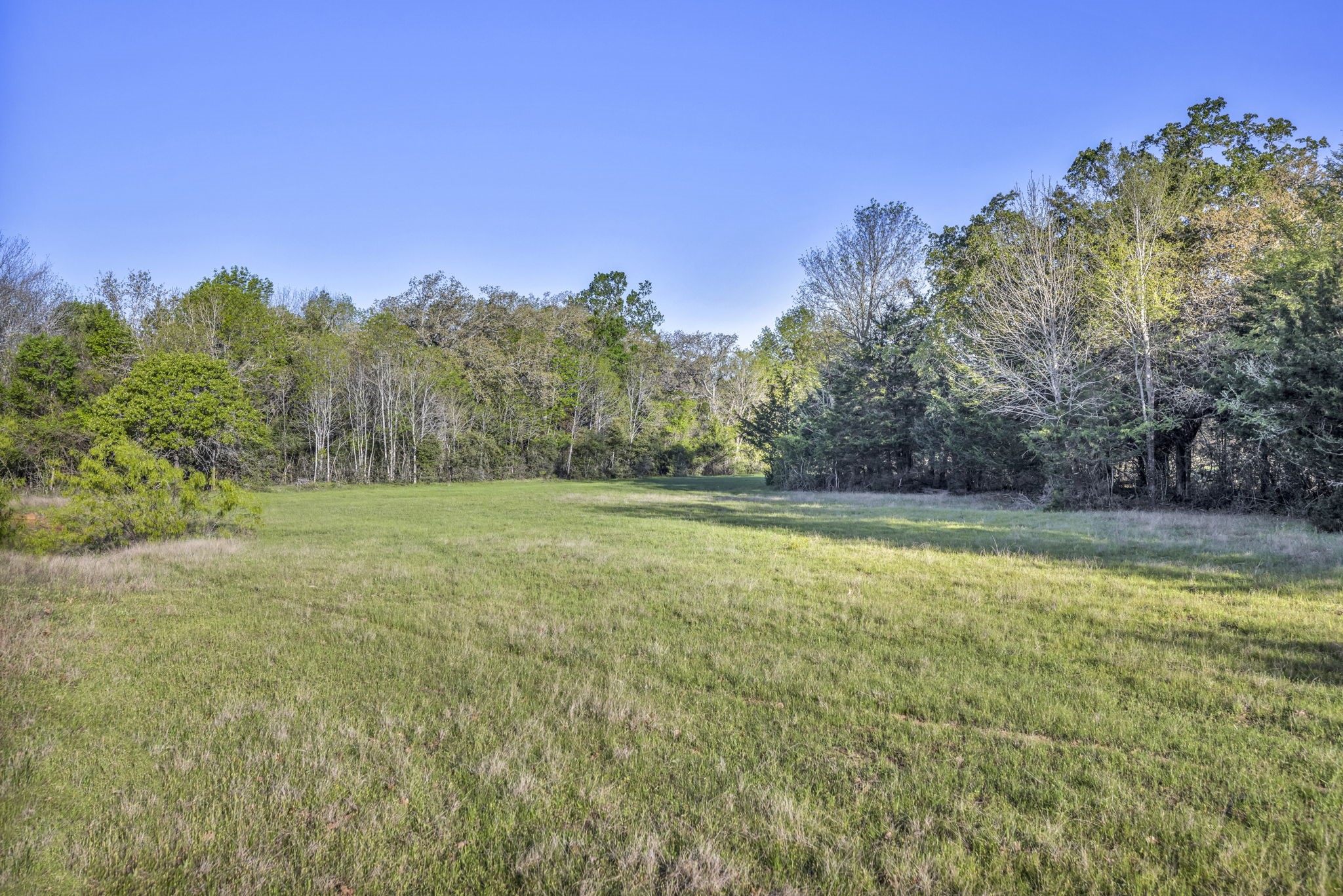1692 E Highway 79 Property Photo 24