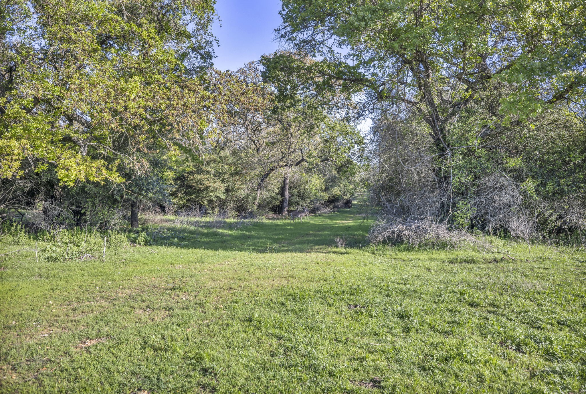 1692 E Highway 79 Property Photo 27