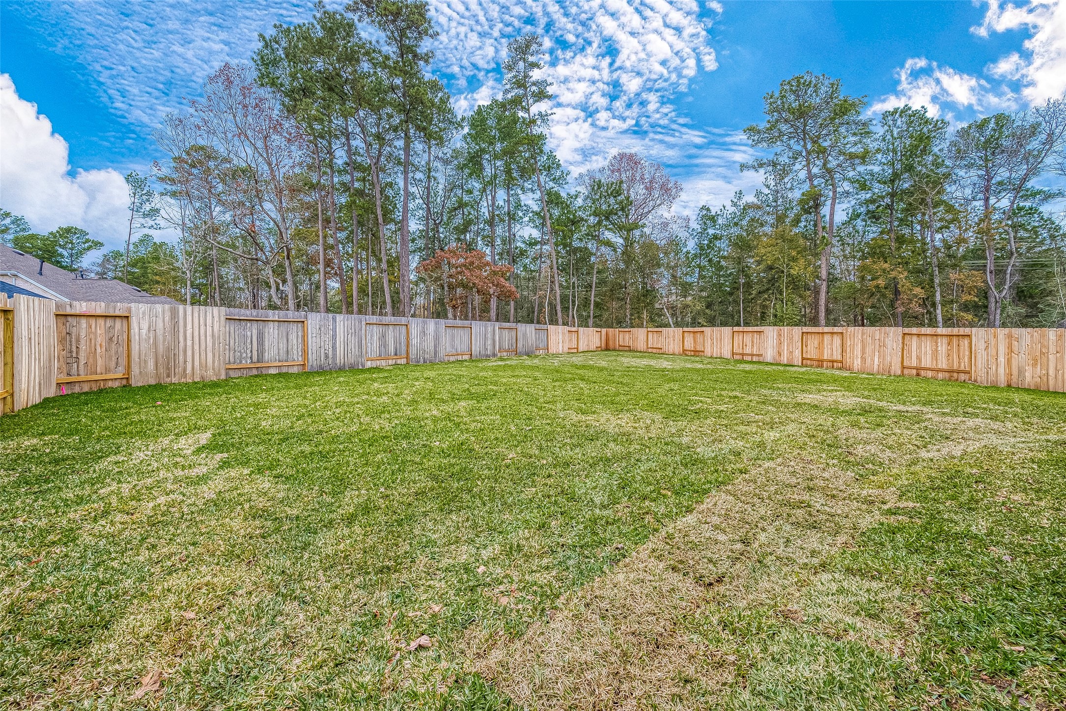 213 Mccrea Court Property Photo 47