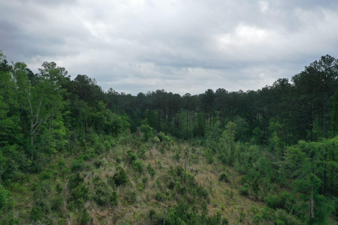 Tract 6 Cr 255 Property Photo 9