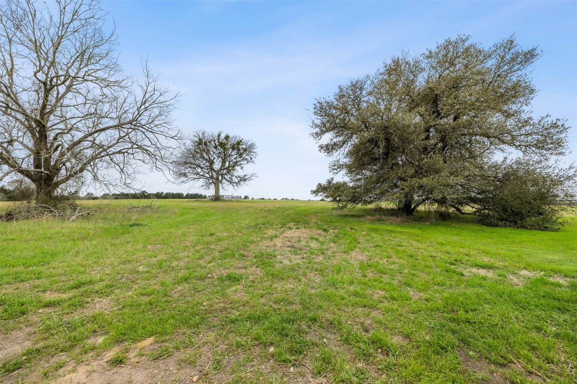 108 Turney Trace Property Photo 3