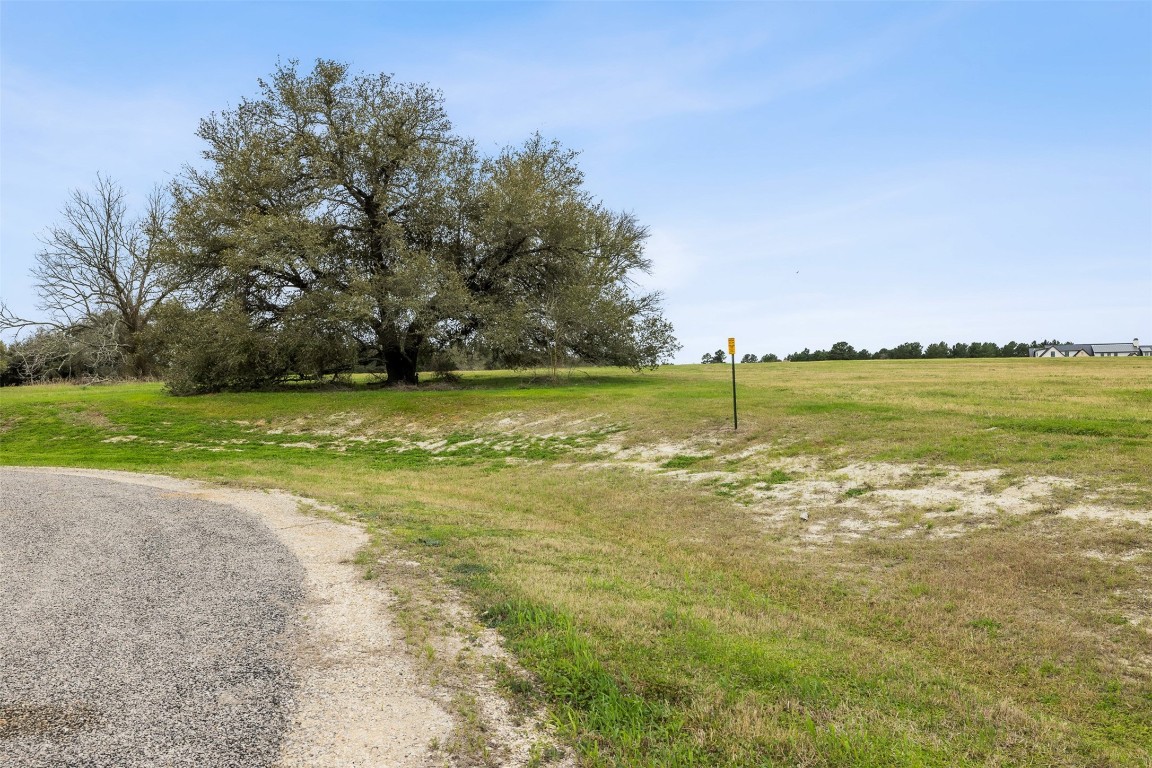 108 Turney Trace Property Photo 4