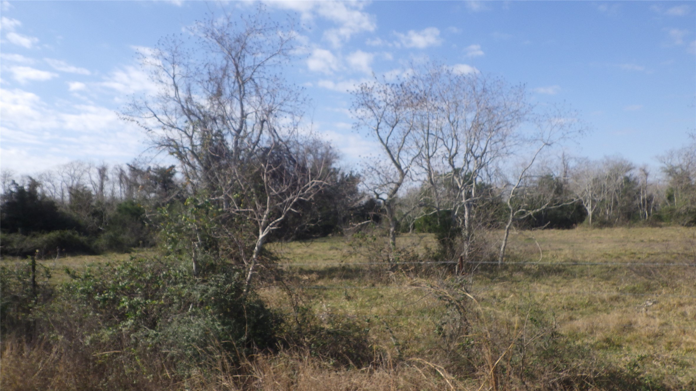 0000 0000 Property Photo 3